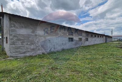 Spațiu industrial, de 714 mp, în Dărmănești - 9