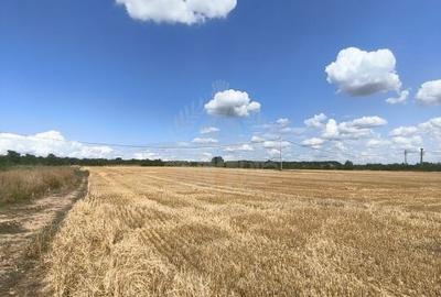 TEREN COCOSESESTI//INTRAVILAN - 6