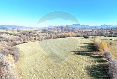 Comision 0% | 2 parcele x 650 mp | Priveliste Bucegi,Magura,P Craiului - 6