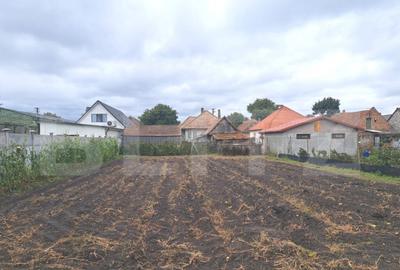 Vand casa cu teren generos Halchiu, aproape de Bra?o - 11