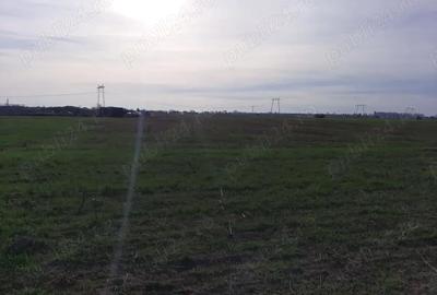 Teren de 18000 mp, în Ciorogârla - 3