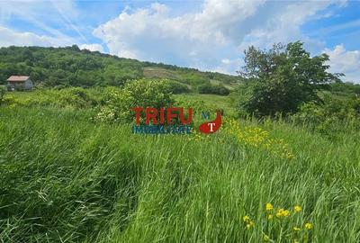 Teren de 1584 mp, în Cetate