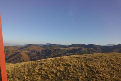 Casa individuala cu teren zona Paltinis - 22