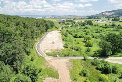 Teren Construcții intravilan de 5500 mp, în Cristian - 2