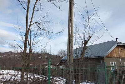 Teren de 1263 mp, în Aluniș - 1