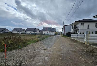 Teren intravilan 720mp Lisaura / Ipotesti, Suceava - 2