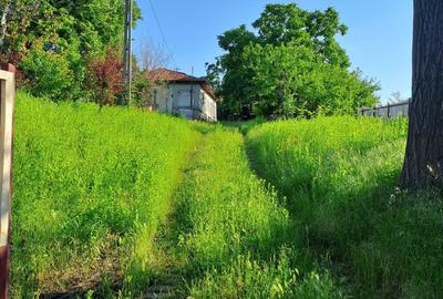 Casă cu 3 camere în Central - 4