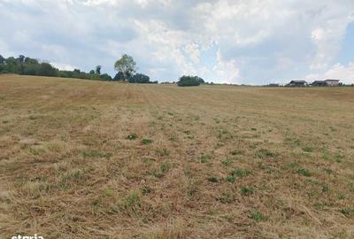Spațiu comercial, în Central - 6