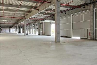 Spatiu Industrial - 6000 mp - Productie - Depozitare - Distributie - 3