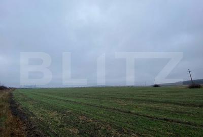 Teren de 41000 mp, în Ișalnița - 6