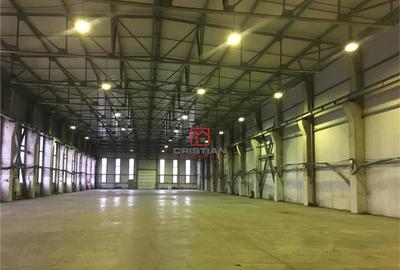 Depozit/hala/spatiu industrial Ciorogarla - A1 - KM14, Ilfo - 5