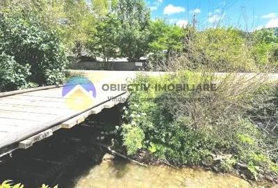 CASA traditionala BICAZU ARDELEAN + teren extravilan 1,6 hectare - 11