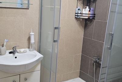 Apartament 2 camere decomandat Soseaua Giurgiului / Luica - 9