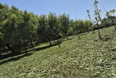 Teren de 1500 mp, în Sălcioara - 6