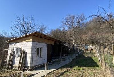 Casă cu 4 camere cu Teren 180 Mp în Ștefănești - 8