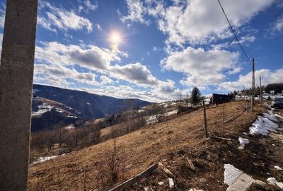 Spațiu comercial, în Măguri