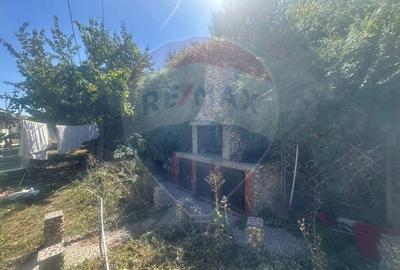 Inchiriere casa zona Andronache - 11