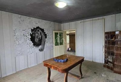 Casă cu Teren 1400 Mp în Daneș