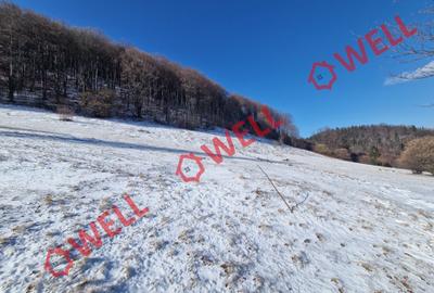 De vânzare teren extravilan în Vama Buzăului! - 2