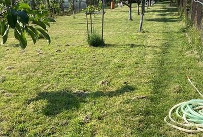 Casă cu 3 camere în Central - 5