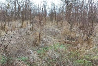 Teren de 2300 mp, în Râmniceni - 5