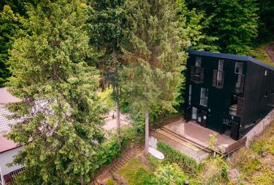 Vanzare casa de vacanta cu ponton privat la lac Tarnita - 4