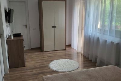 Casă cu 4 camere cu Teren 500 Mp în Ostroveni - 4