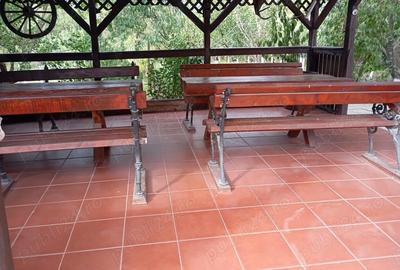 Casă cu 4 camere cu Teren 3400 Mp în Susag - 3