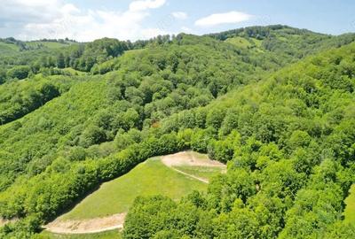 Teren de 16000 mp, în Poiana Mărului - 5