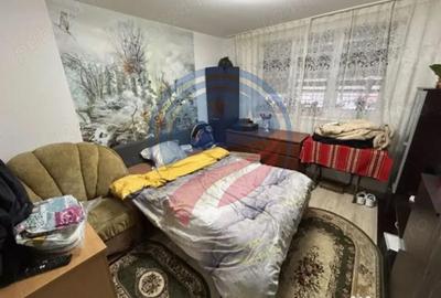 Garsonieră în Valea Rosie - 2