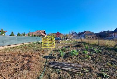 Casa singur in curte Santana de Mure? - 10