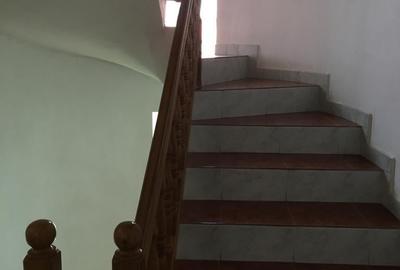 OVIDIU PARTEA CU GHIOLUL vila - 8