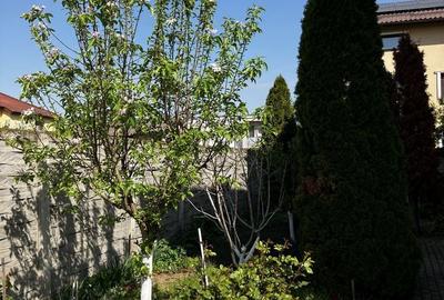 Apartament cu 3 camere în Rudicica - 8