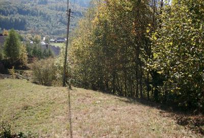 Teren de 1500 mp, în Molid - 7