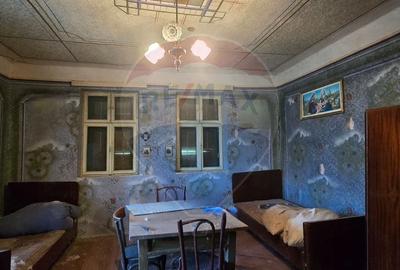 Casă individuală cu 3 camere cu Teren 7290 Mp în Socodor - 26