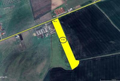 Teren de 50000 mp, în Horia