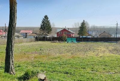 Spațiu comercial, în Borcea - 4