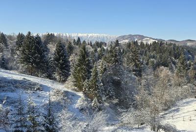 Casă cu 3 camere cu Teren 402 Mp în Bran - 5