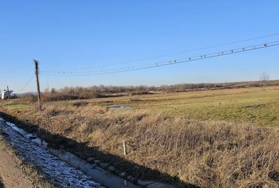 Teren extravilan - constructii, suprafata 49.933 mp, drumul E79, Beius - 6