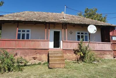 Casă cu 2 camere în Dumești - 4