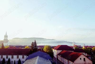 Apartament cu 2 camere semidecomandat în Decebal - 4