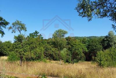 TEREN INTRAVILAN ZĂVOI\ZONA VALEA BISTREI, JUD.C-S - 1