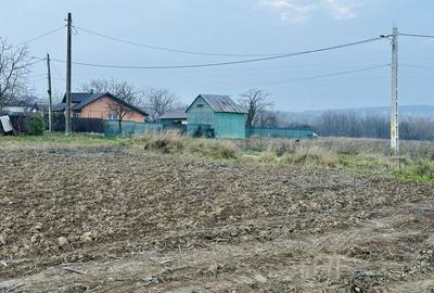 Teren de 700 mp, în Exterior Vest - 5