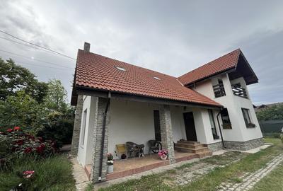 Mogosoaia, zona Martha Bibescu - 1