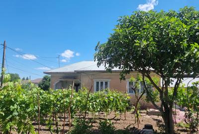 Casă cu 4 camere în Chirnogi - 1