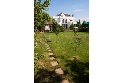 REV2000904 Vila spectaculoasa - zona Cernica REV2000904 Vila spectaculoasa - zona Cernica - 19