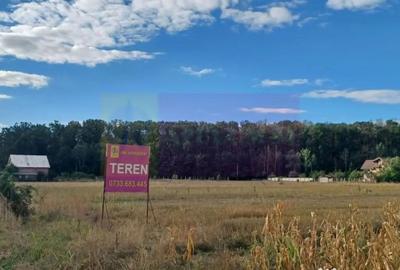 Teren de 11157 mp, în Gulia