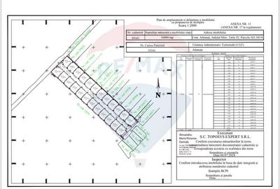 Teren Construcții intravilan de 10000 mp, în Afumați - 12