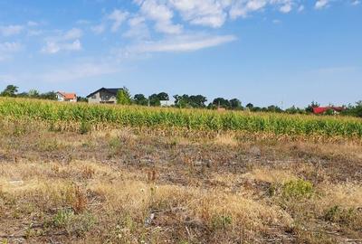 Teren de 2000 mp, în Păcurari - 5