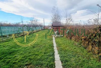 Casă P+M de vânzare – Valea Avrigului, 4 camere, teren 500 mp - 14